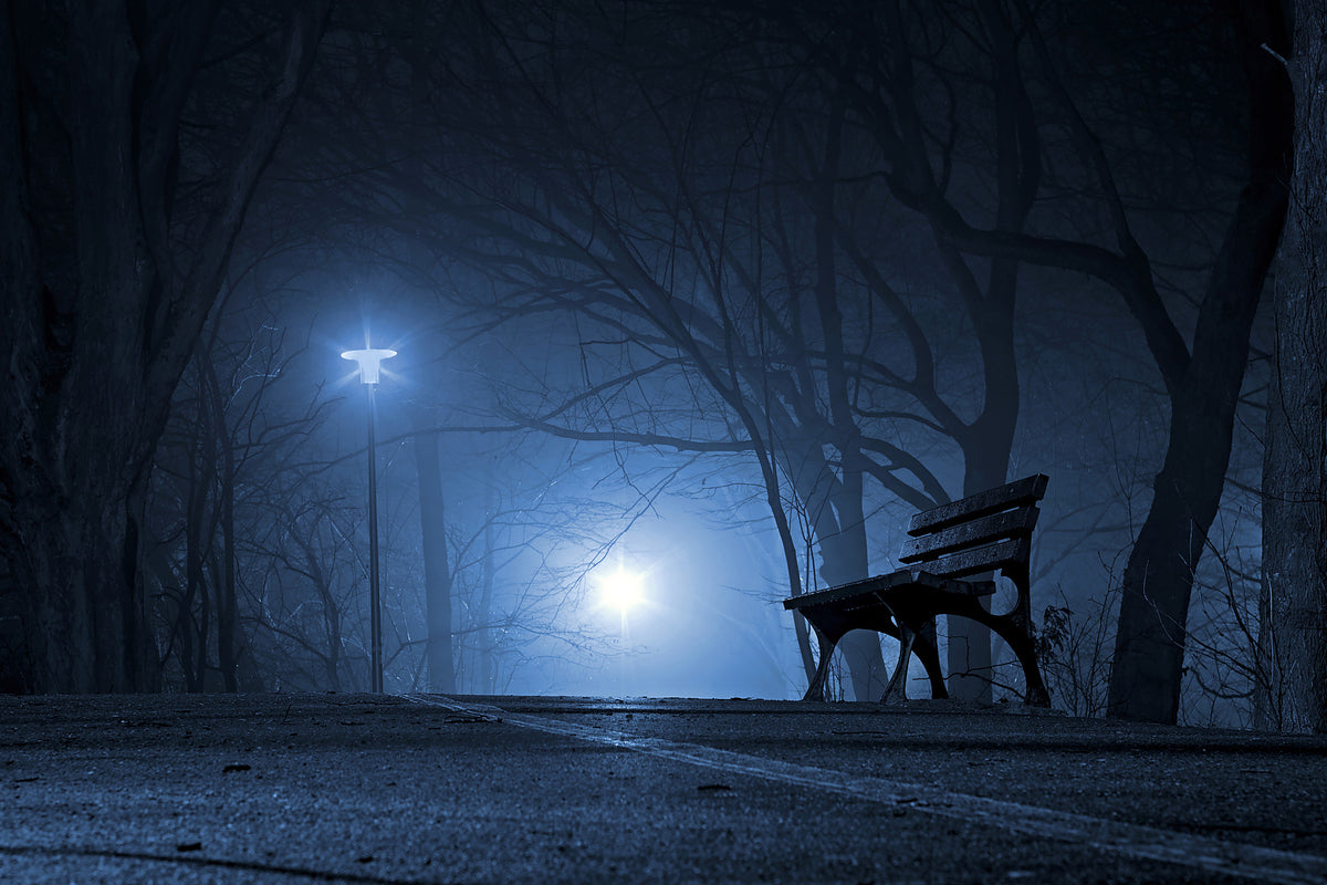 acrylic-print-at-night-in-the-park