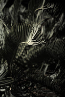 framedposter-print-shadows-edge