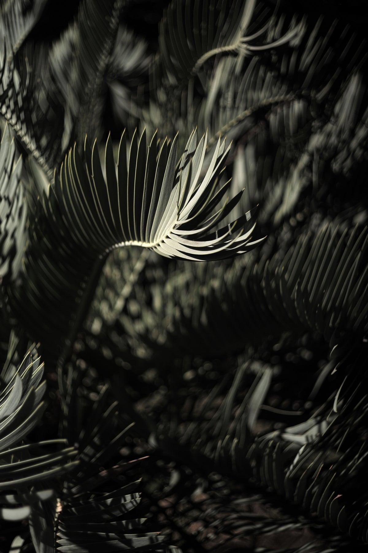framedposter-print-shadows-edge