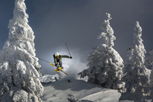 poster-print-ski-is-life-x