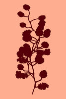 acrylic-print-floral-silhouette-1