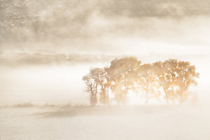 framedcanvas-print-autumn-dreams