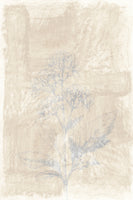 canvas-print-woodsia-3