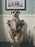 framedposter-print-meerkat-in-the-bathroom