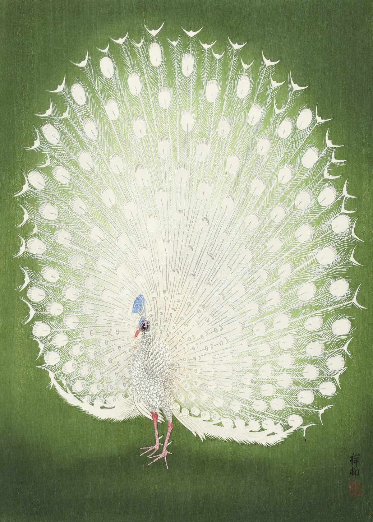 framedposter-print-peacock-50x70