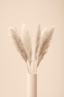 framedposter-print-pampas-grass-beige-11