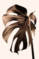 canvas-print-monstera-gold