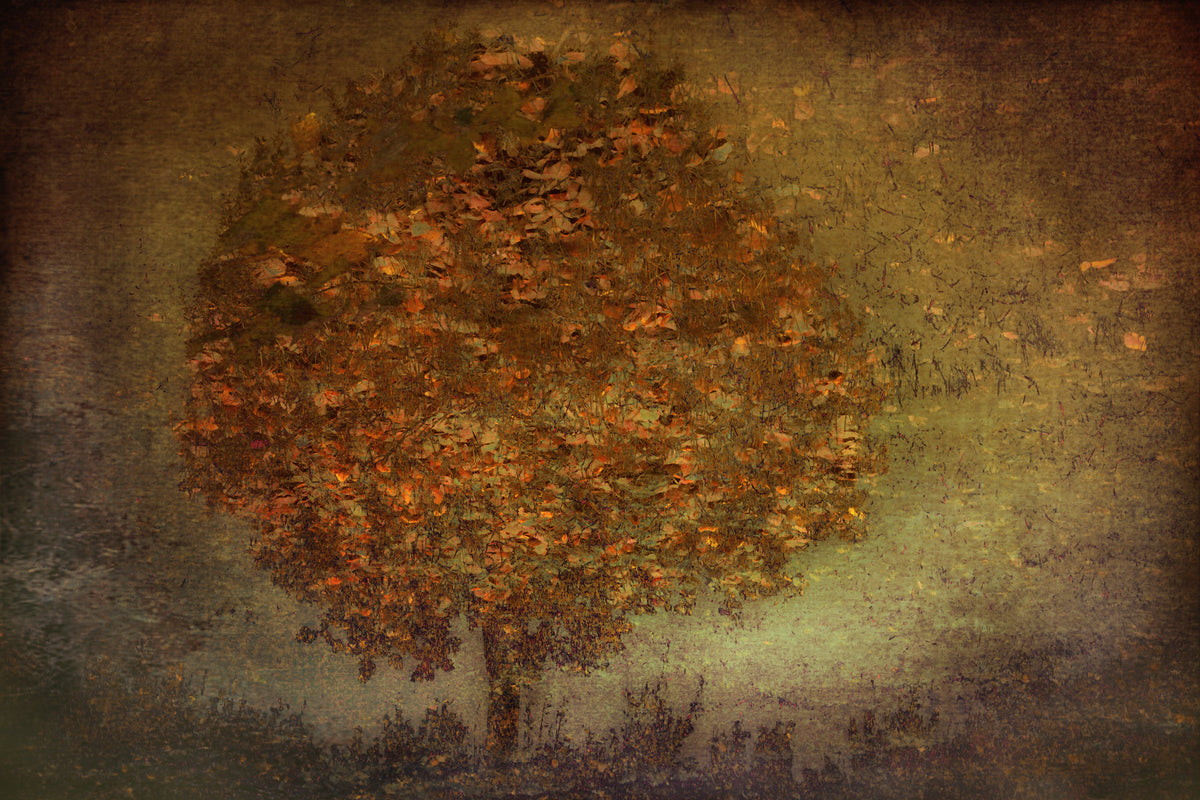 3-piece-aluminium-print-autumn-tree