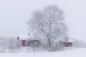 framedposter-print-winter-idyll-x
