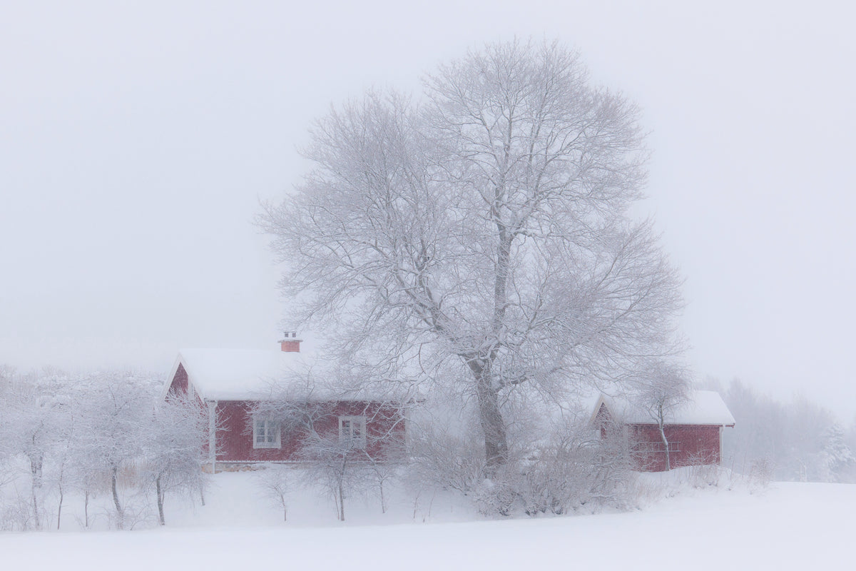 framedposter-print-winter-idyll-x