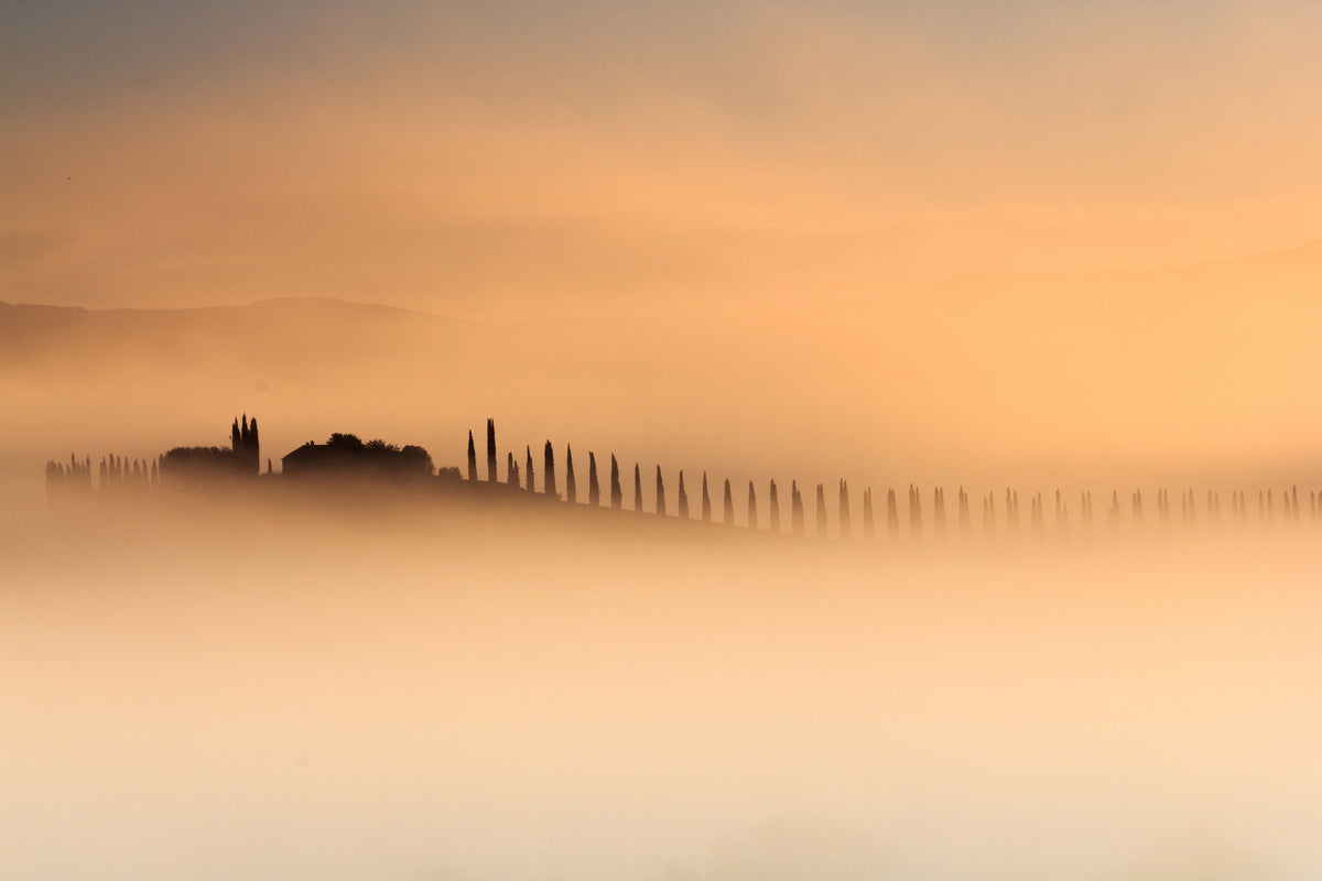 framedcanvas-print-foggy-sunrise-xam