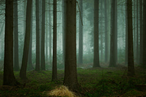 framedposter-print-the-cold-dark-days-of-winter-x
