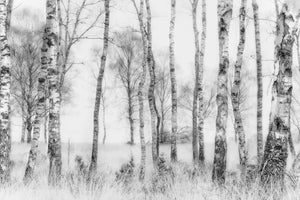 modern-3-piece-canvas-print-black-and-white