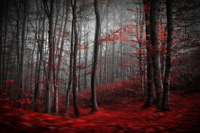 poster-print-bloody-river-x