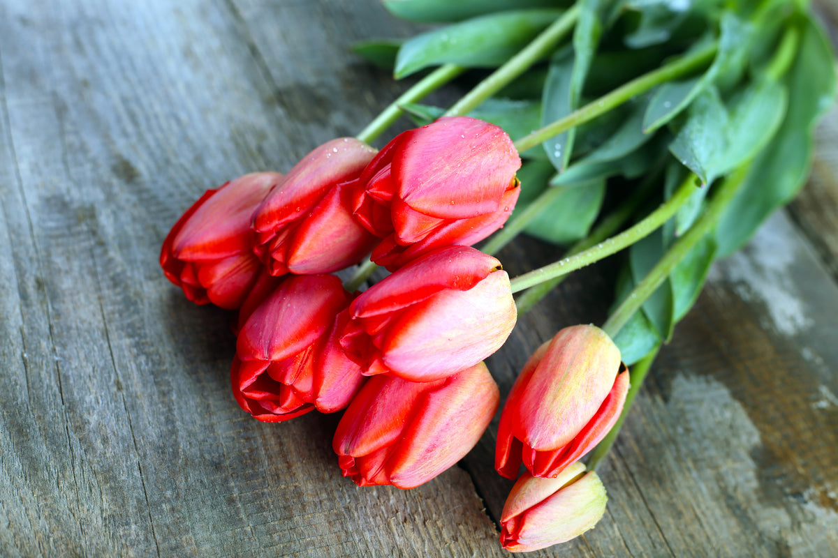 3-piece-canvas-print-the-red-tulip-bouquet
