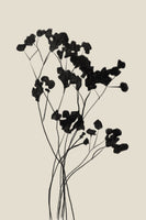 acrylic-print-modern-plant