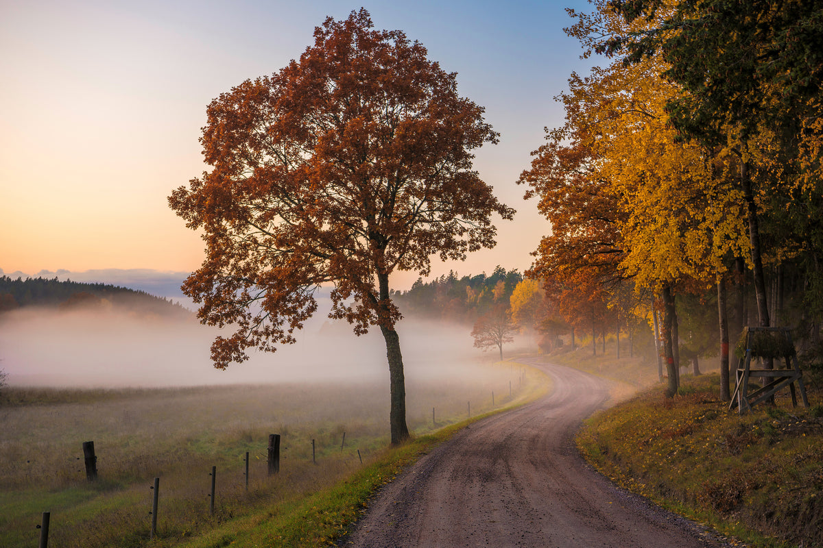 framedposter-print-countryside-vibes-x