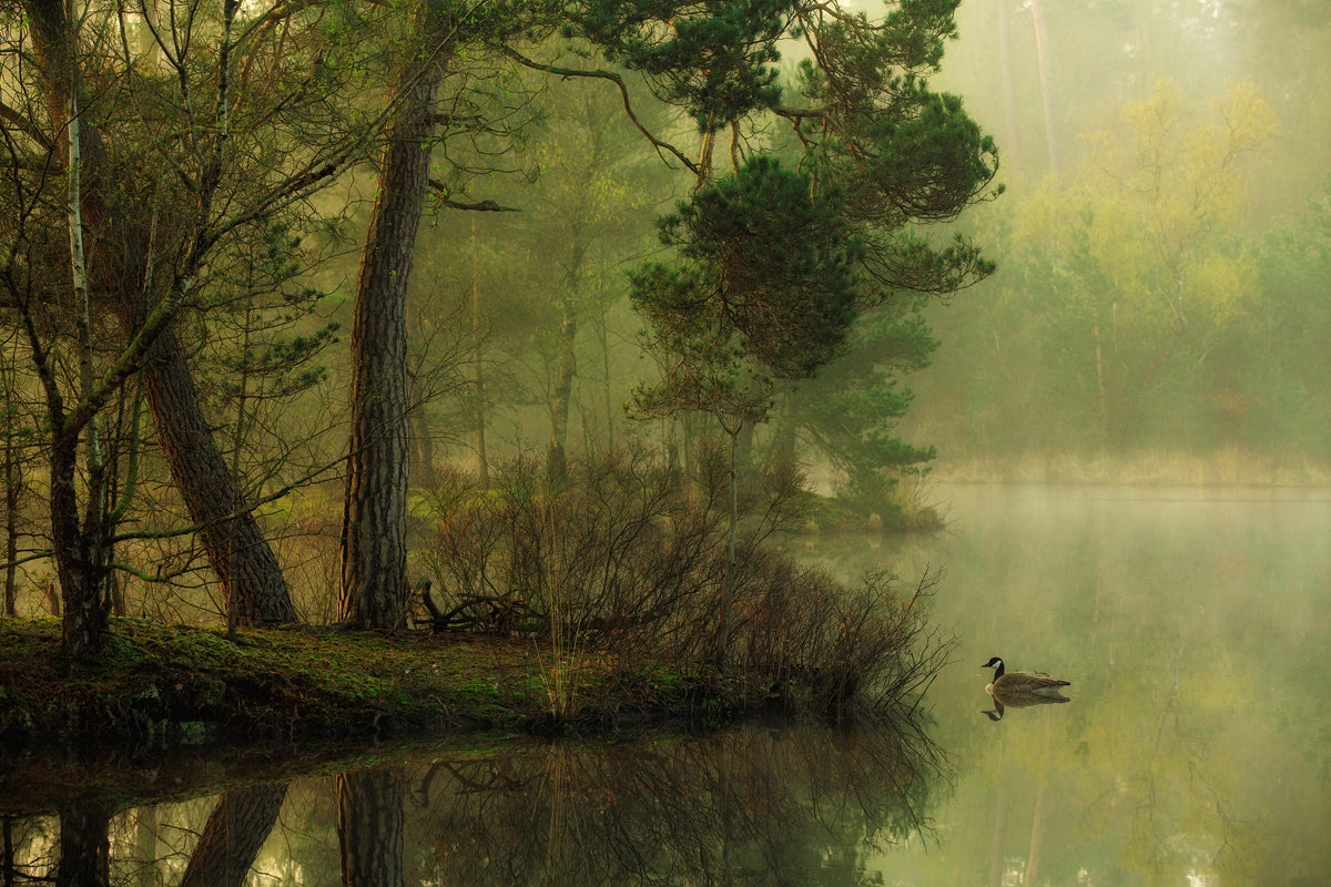 acrylic-print-mood-of-spring-x