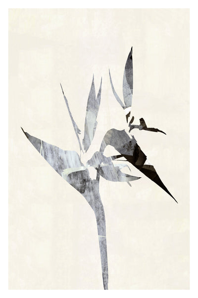 poster-print-sharp-dressed-plant