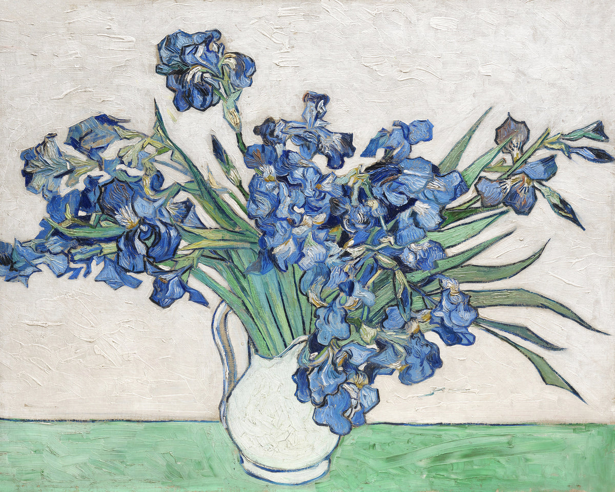 canvas-print-vincent-van-goghs-irises-1890