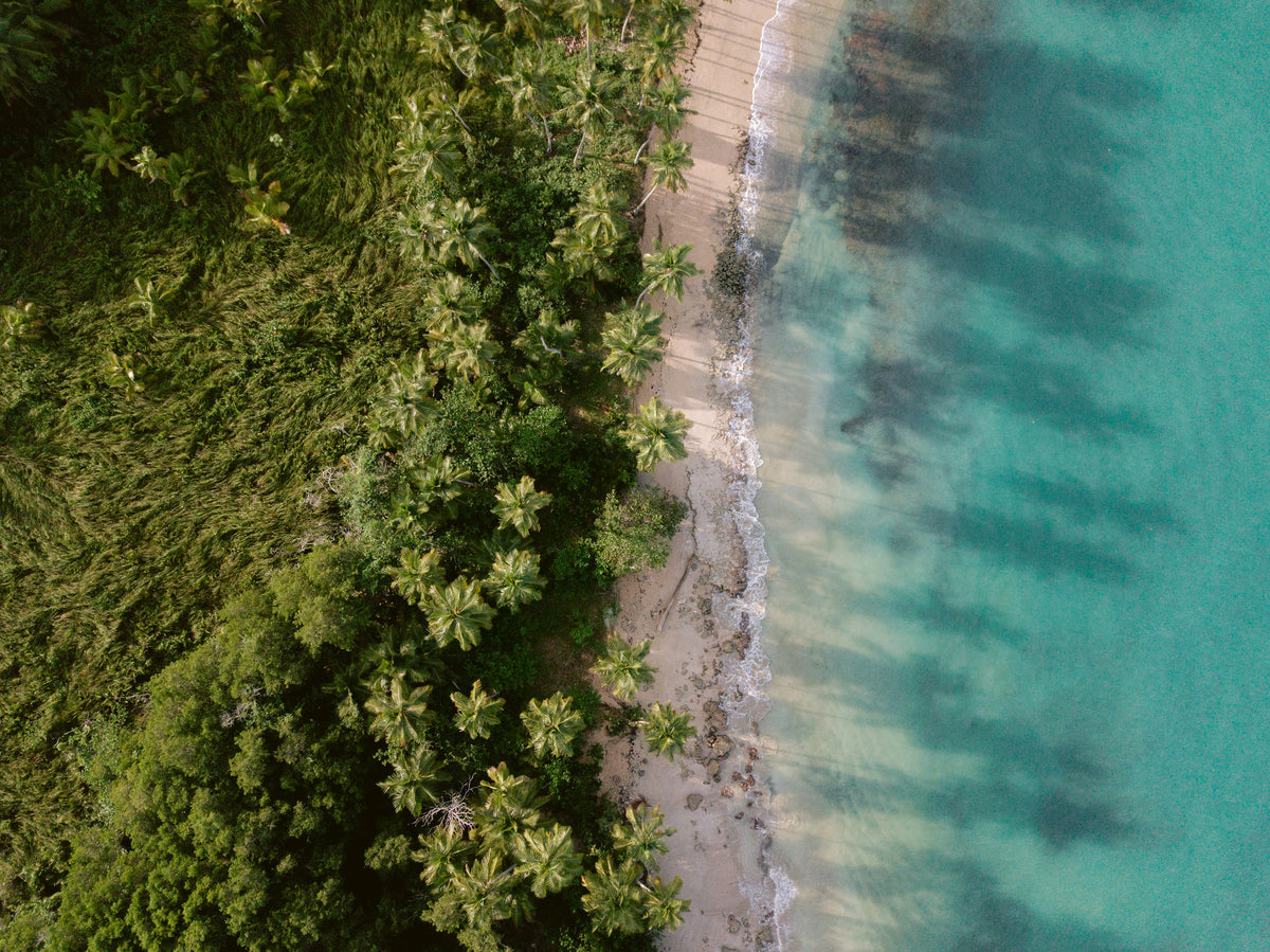 acrylic-print-green-beach-from-above-2