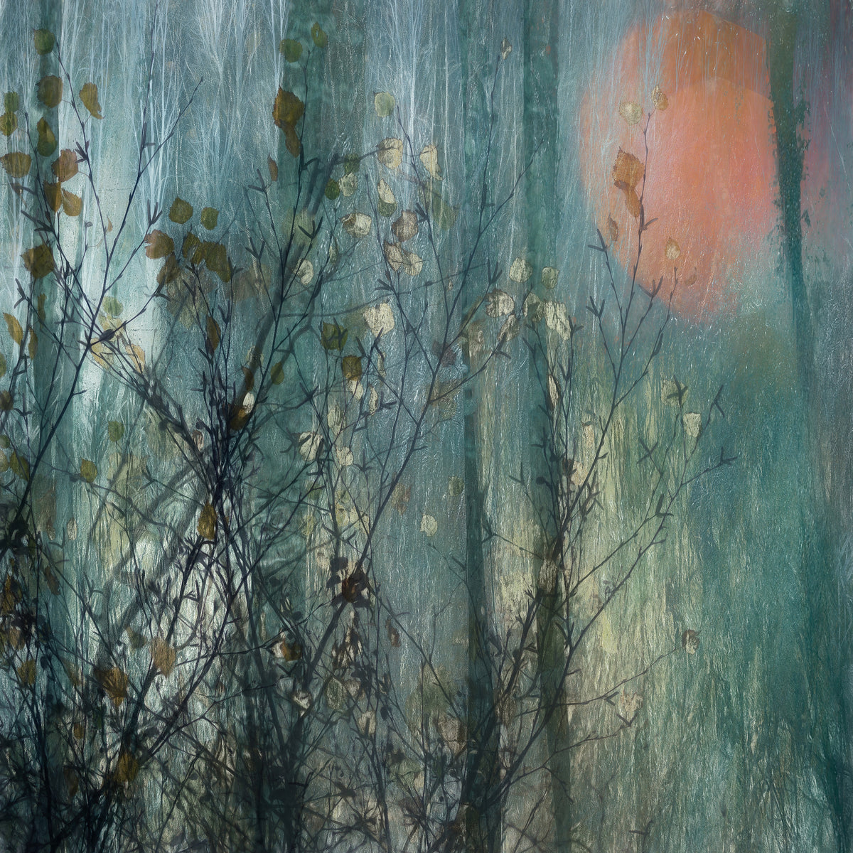 4-piece-canvas-print-full-moon-2