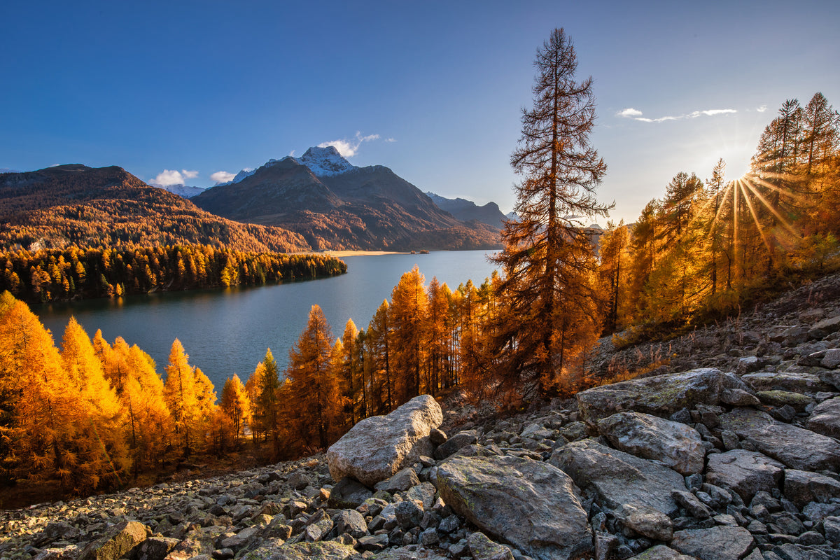 modern-3-piece-canvas-print-lake-sils-with-its-colorful-larches-in-the-engadin