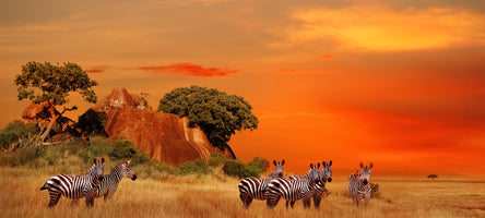 poster-print-freedom-on-the-endless-savannah