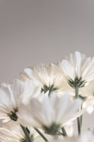canvas-print-white-flowers-4