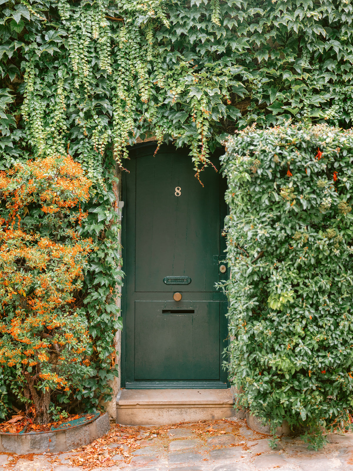 aluminium-print-ivy-covered-house-in-montmartre-paris