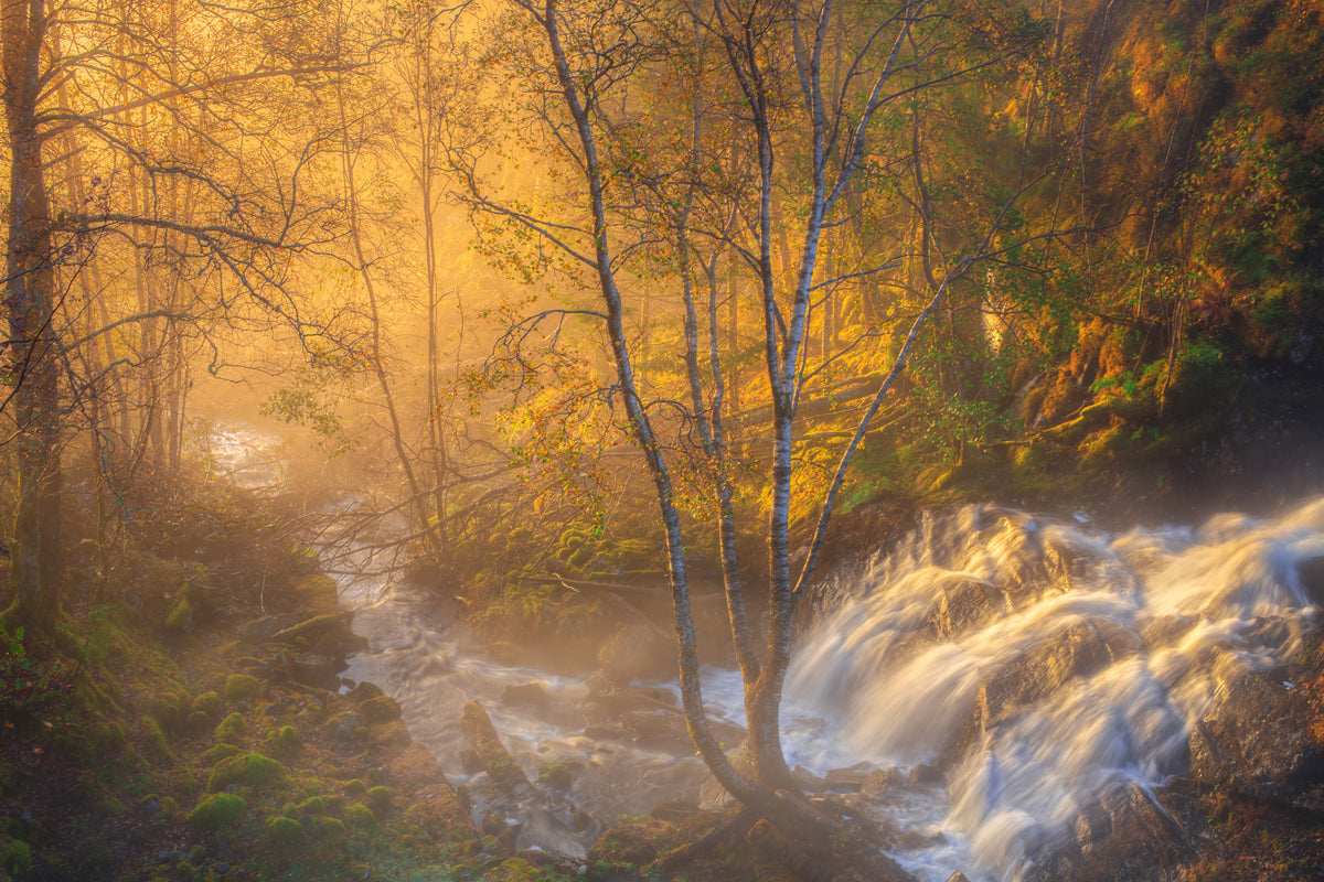 framedposter-print-first-light-xah