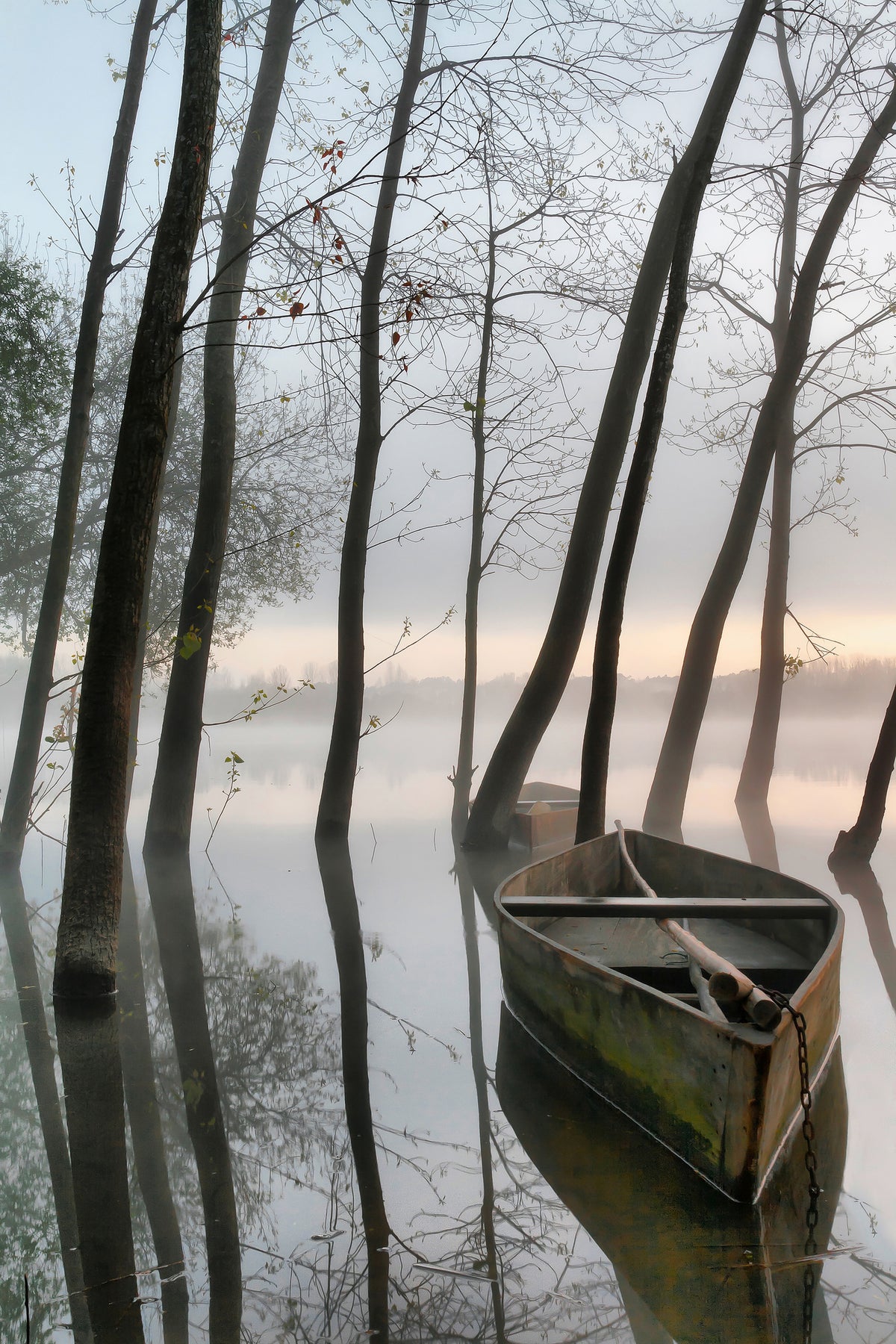 framedcanvas-print-serene-dawn-x