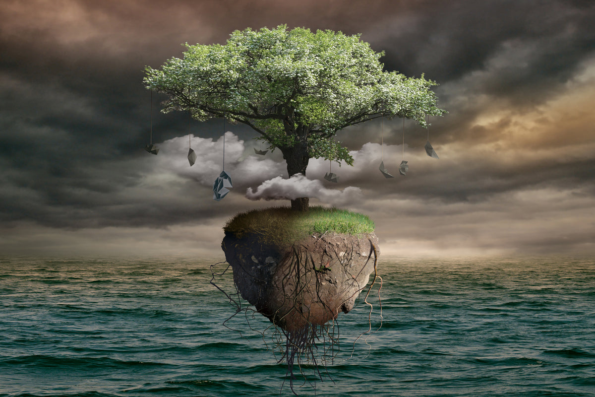 canvas-print-lonely-tree