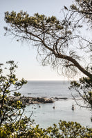 canvas-print-hidden-shores