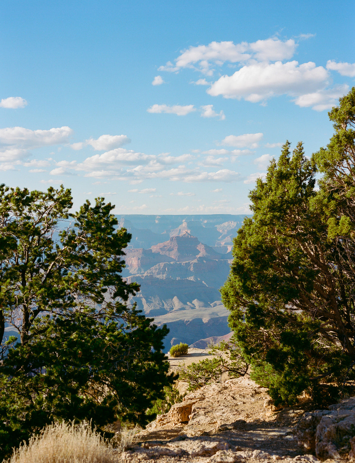framedcanvas-print-grand-canyon-shadows-x-on-film