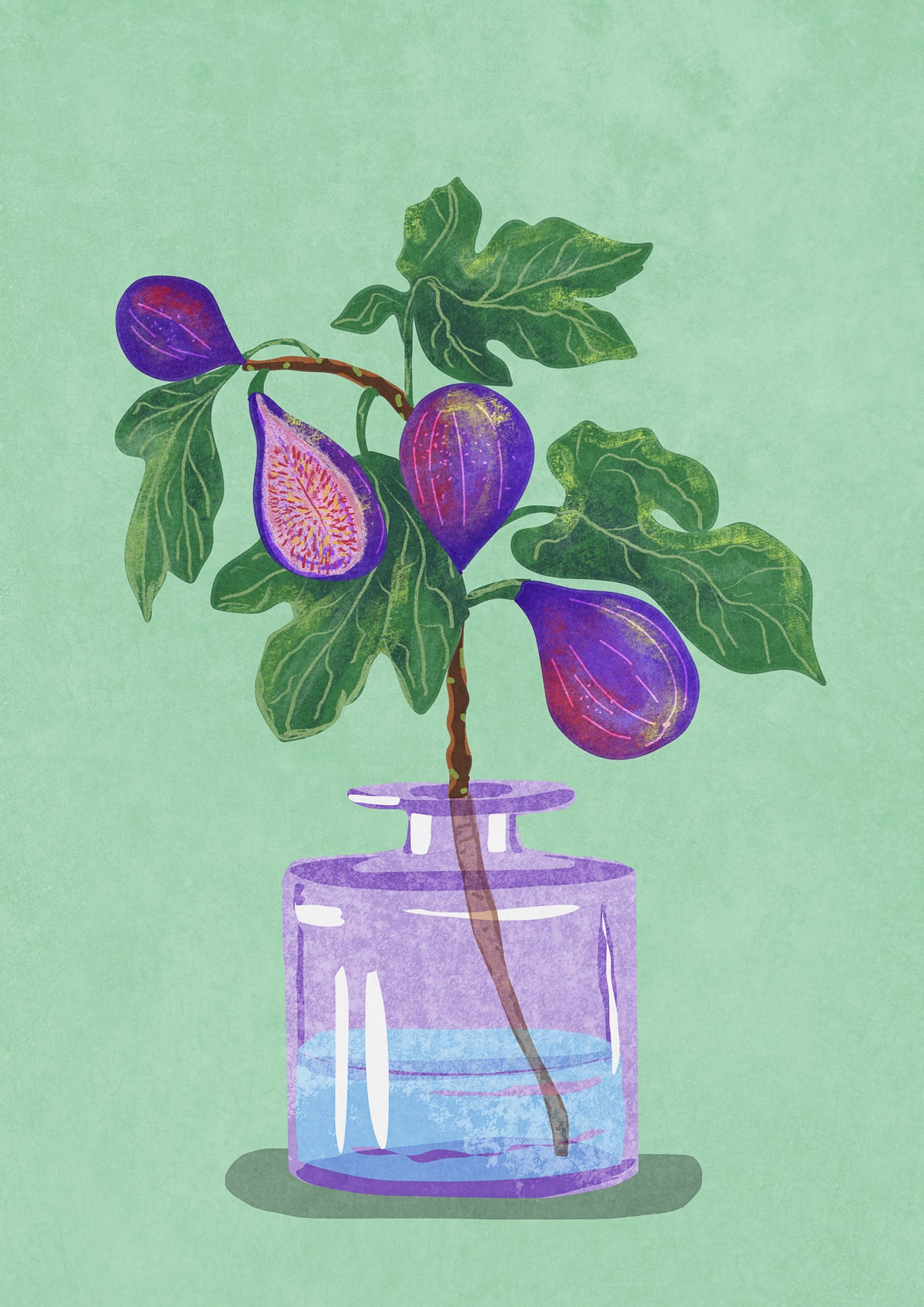 canvas-print-figs-branch-in-vase