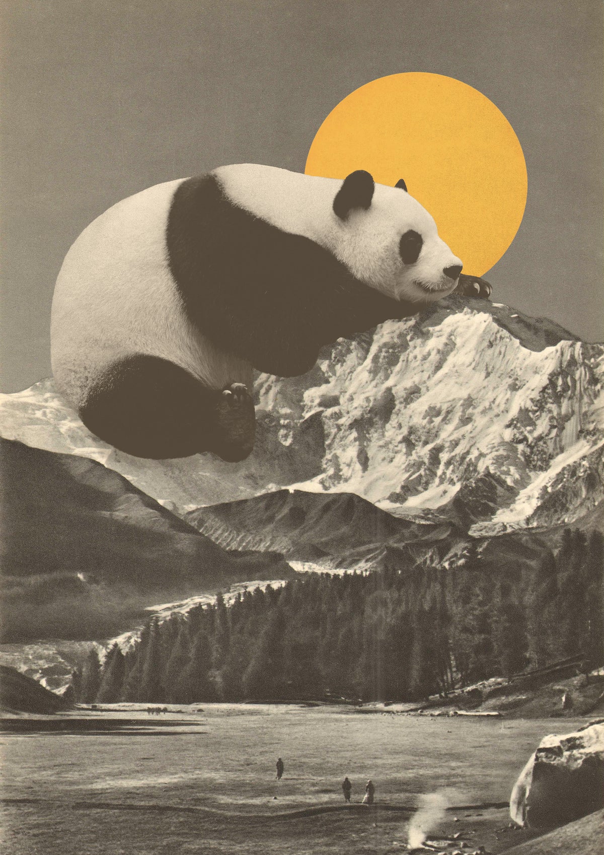 poster-print-giant-panda-nap