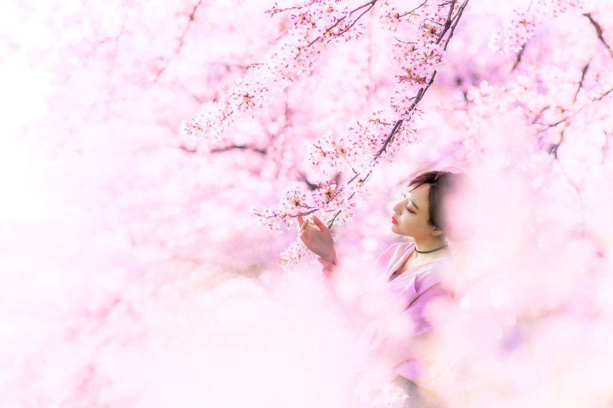 framedposter-print-sakura