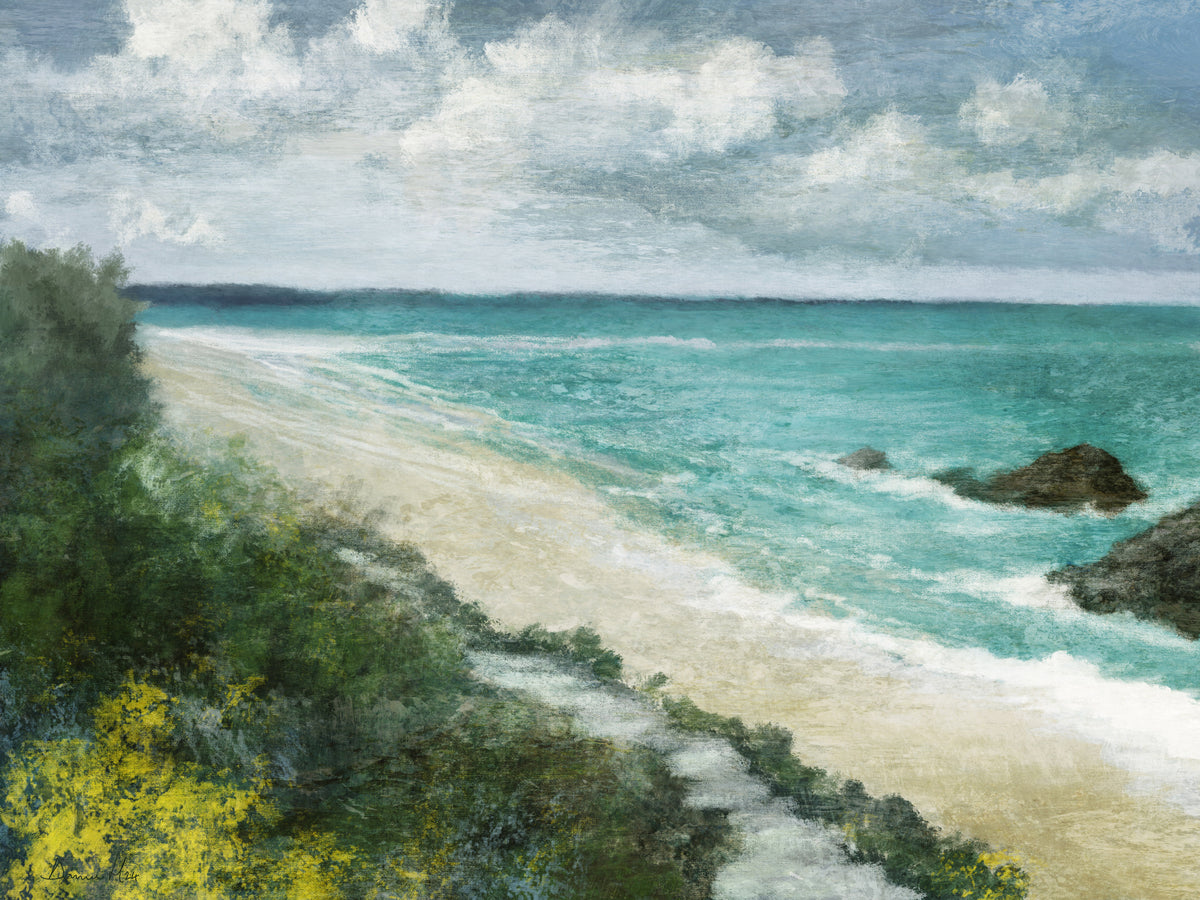 acrylic-print-coastal-walk