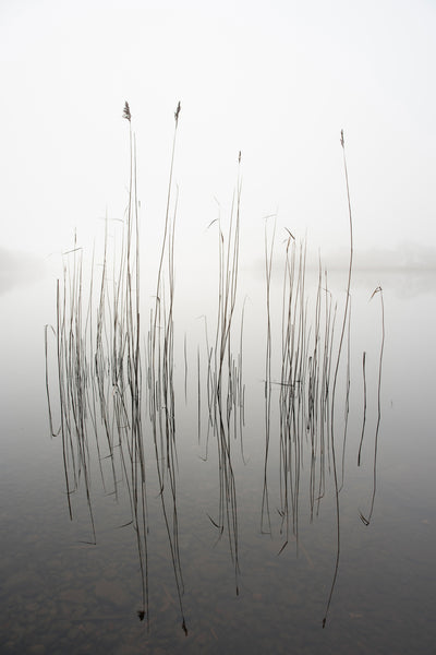 poster-print-silence