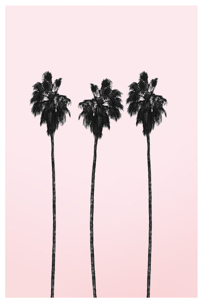 poster-print-three-tall-palms