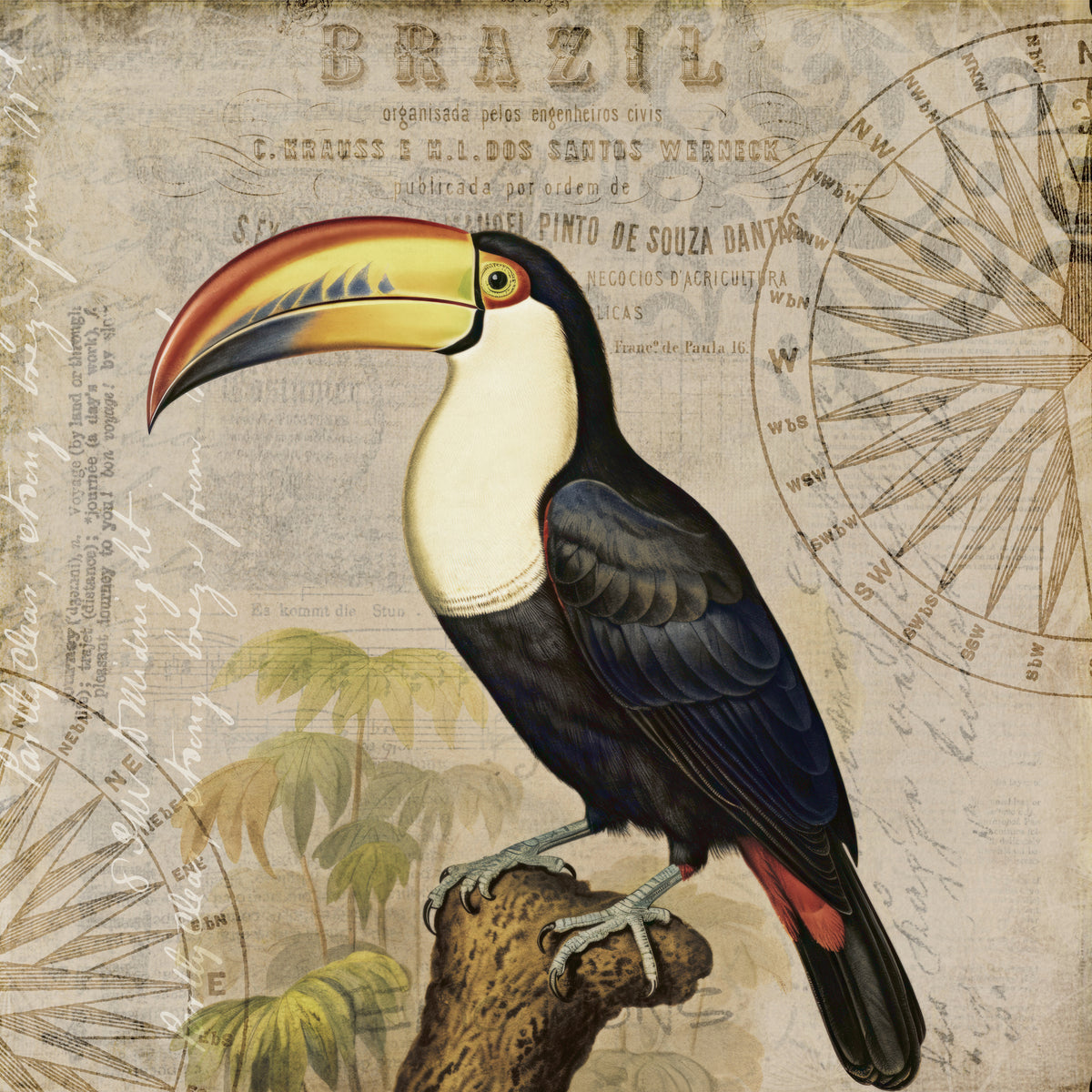 aluminium-print-brazil-toucan