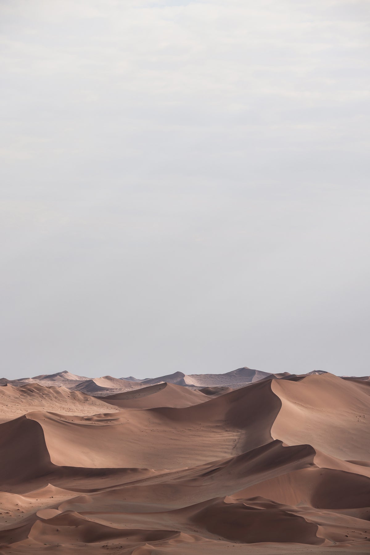 canvas-print-desert-serenity-3
