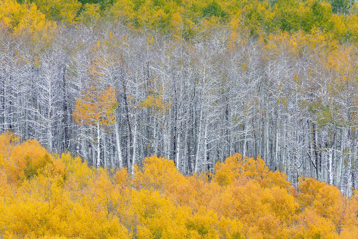 modern-3-piece-acrylic-print-color-layers-of-aspen