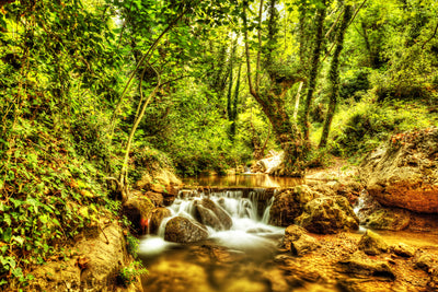 poster-print-waterfall-in-the-forest