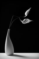 acrylic-print-passionately-x