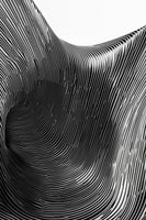 canvas-print-zebra-contour-structure