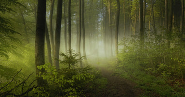 canvas-print-early-fall-2
