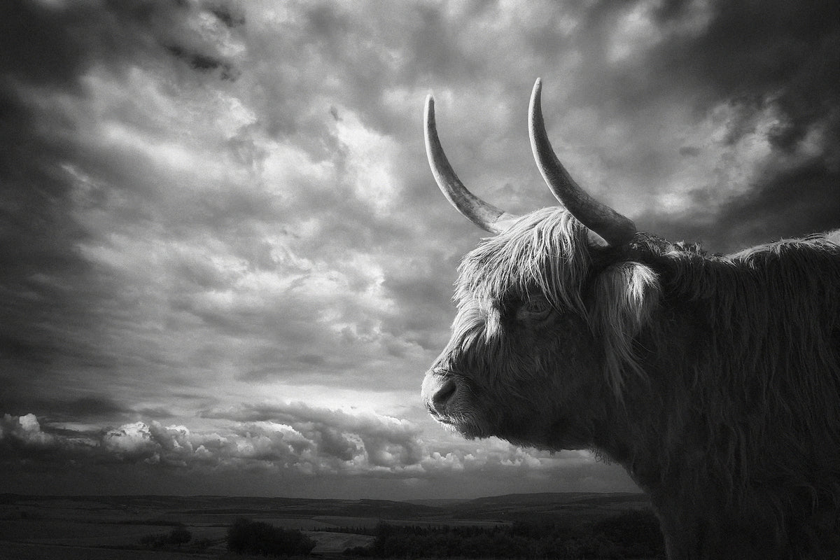 canvas-print-the-highlands-x