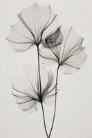 aluminium-print-transparent-botanic-no-3